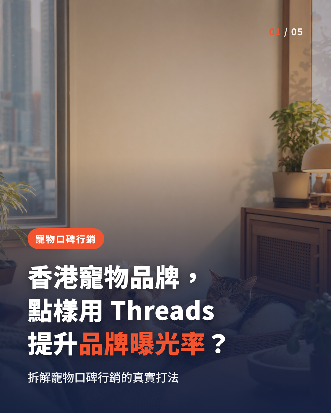 香港寵物品牌如何用 Threads 口碑行銷提升品牌曝光率
